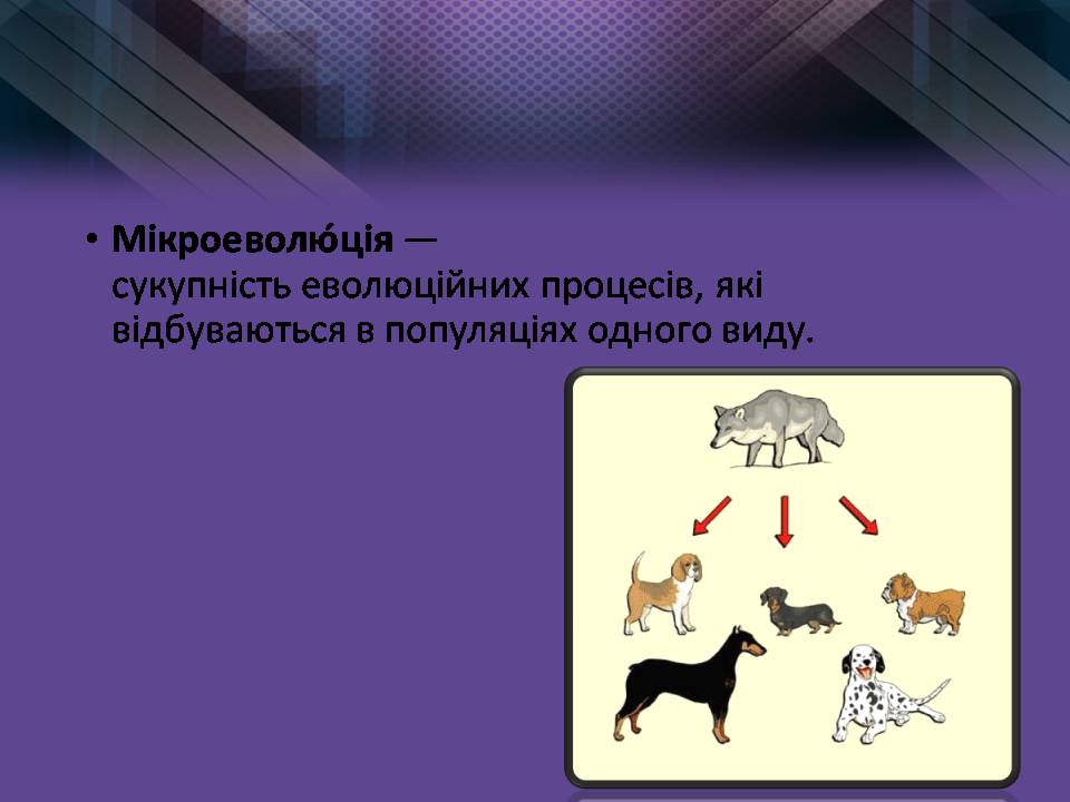 Презентація на тему «Мікроеволюція» (варіант 2) - Слайд #2 Презентація на тему «Мікроеволюція» (варіант 2) - Слайд #2