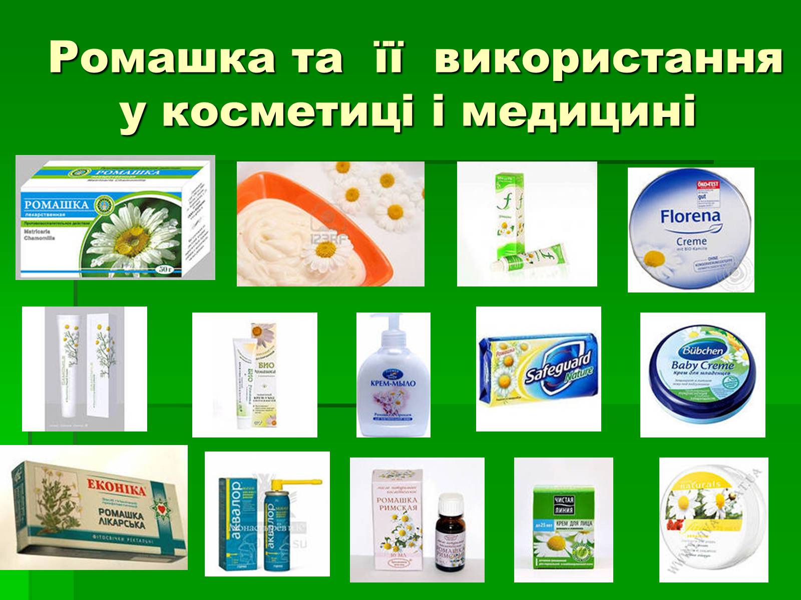 Презентація на тему «Лікарські рослини в житті українців» - Слайд #10 Презентація на тему «Лікарські рослини в житті українців» - Слайд #10