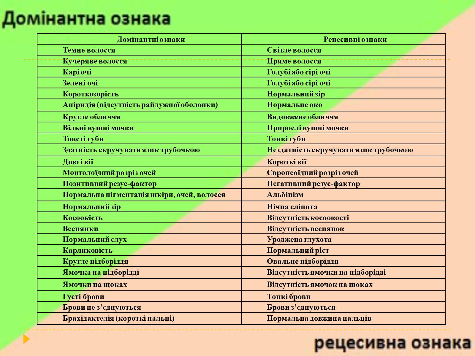 Презентація на тему «Домінантні та рецесивні стани ознак у людини» - Слайд #2 Презентація на тему «Домінантні та рецесивні стани ознак у людини» - Слайд #2
