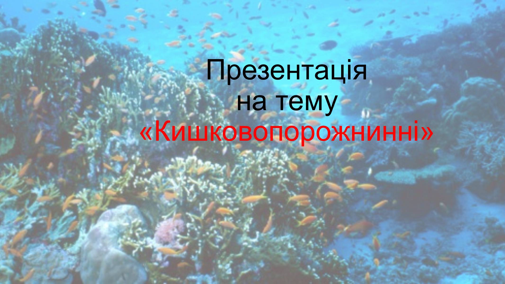 Презентація на тему «Кишковопорожнинні» (варіант 2) - Слайд #1 Презентація на тему «Кишковопорожнинні» (варіант 2) - Слайд #1