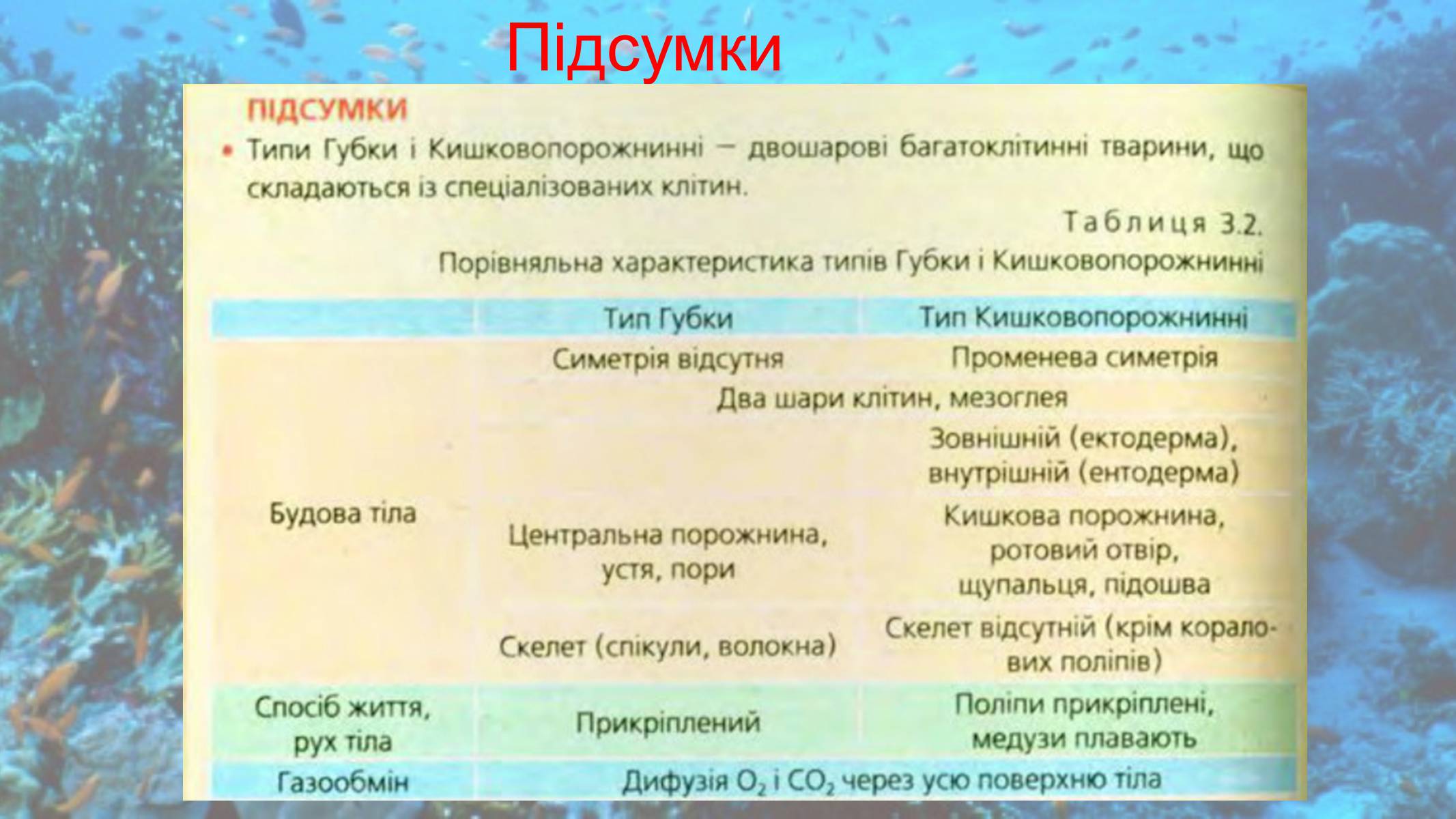 Презентація на тему «Кишковопорожнинні» (варіант 2) - Слайд #16 Презентація на тему «Кишковопорожнинні» (варіант 2) - Слайд #16