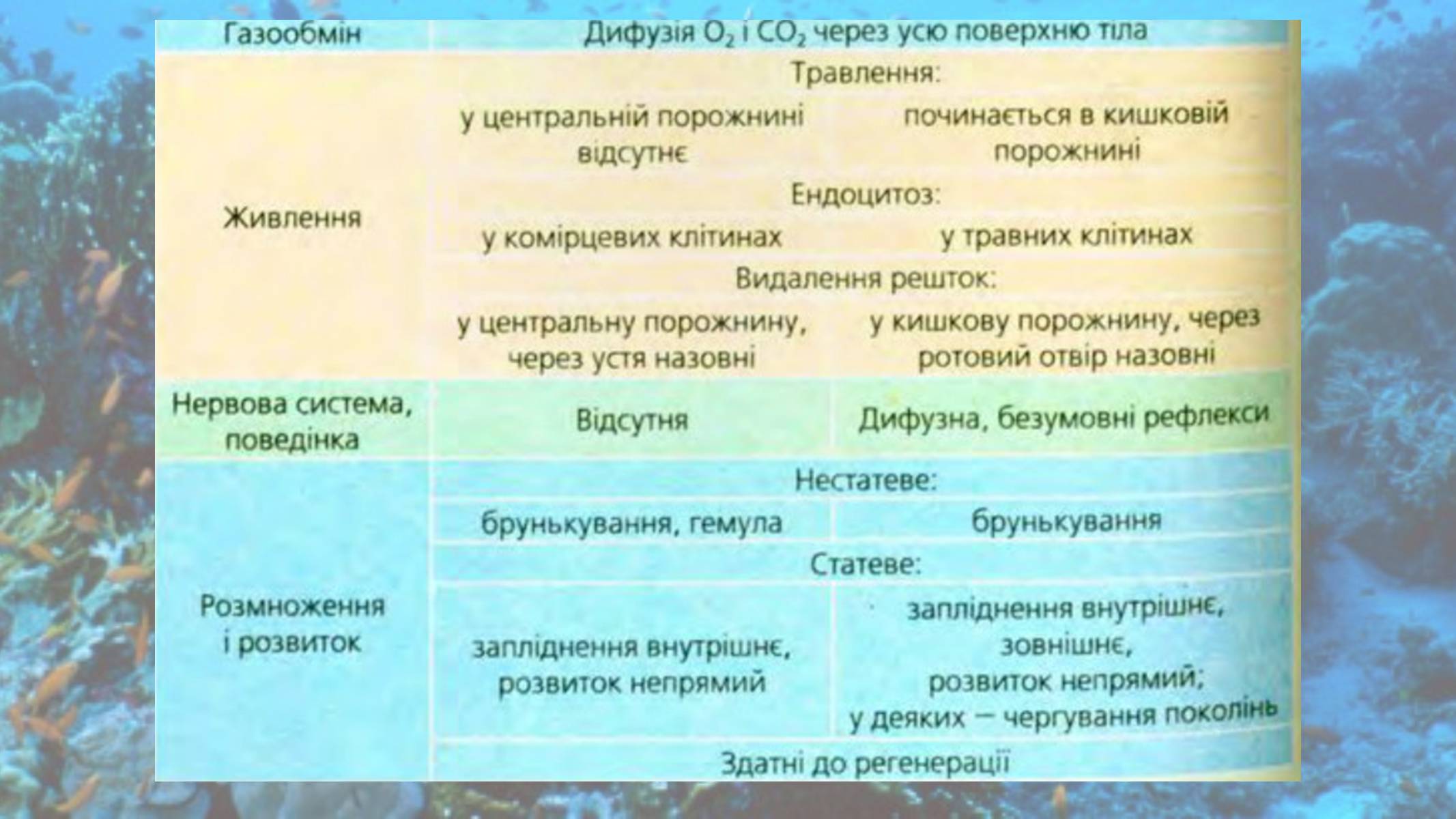 Презентація на тему «Кишковопорожнинні» (варіант 2) - Слайд #17 Презентація на тему «Кишковопорожнинні» (варіант 2) - Слайд #17