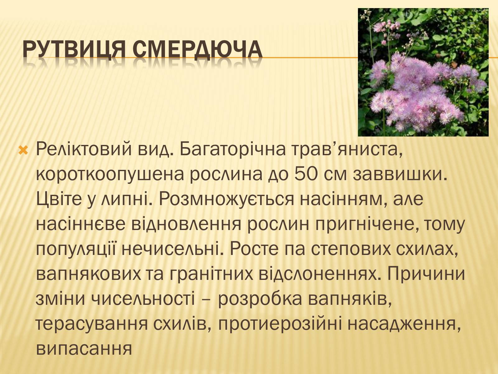 Презентація на тему «Рослини Червоної Книги України» (варіант 2) - Слайд #2 Презентація на тему «Рослини Червоної Книги України» (варіант 2) - Слайд #2
