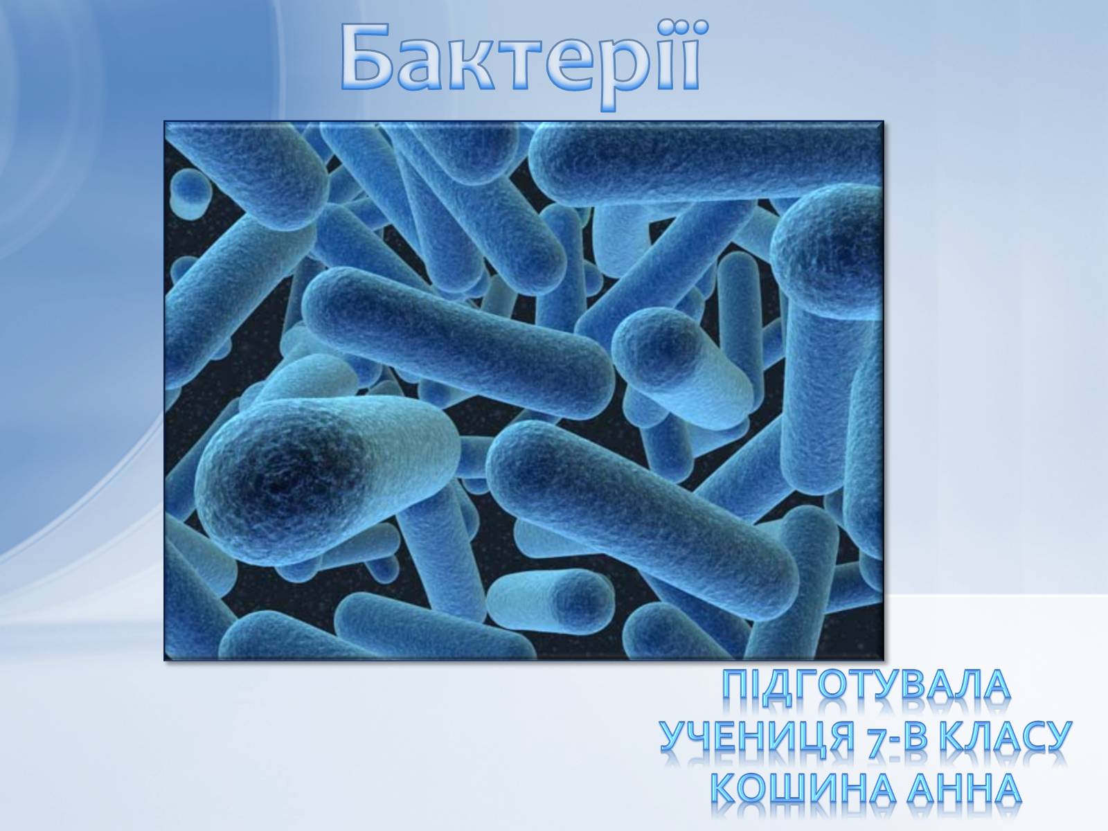 Презентація на тему «Бактерії» (варіант 2) - Слайд #1 Презентація на тему «Бактерії» (варіант 2) - Слайд #1