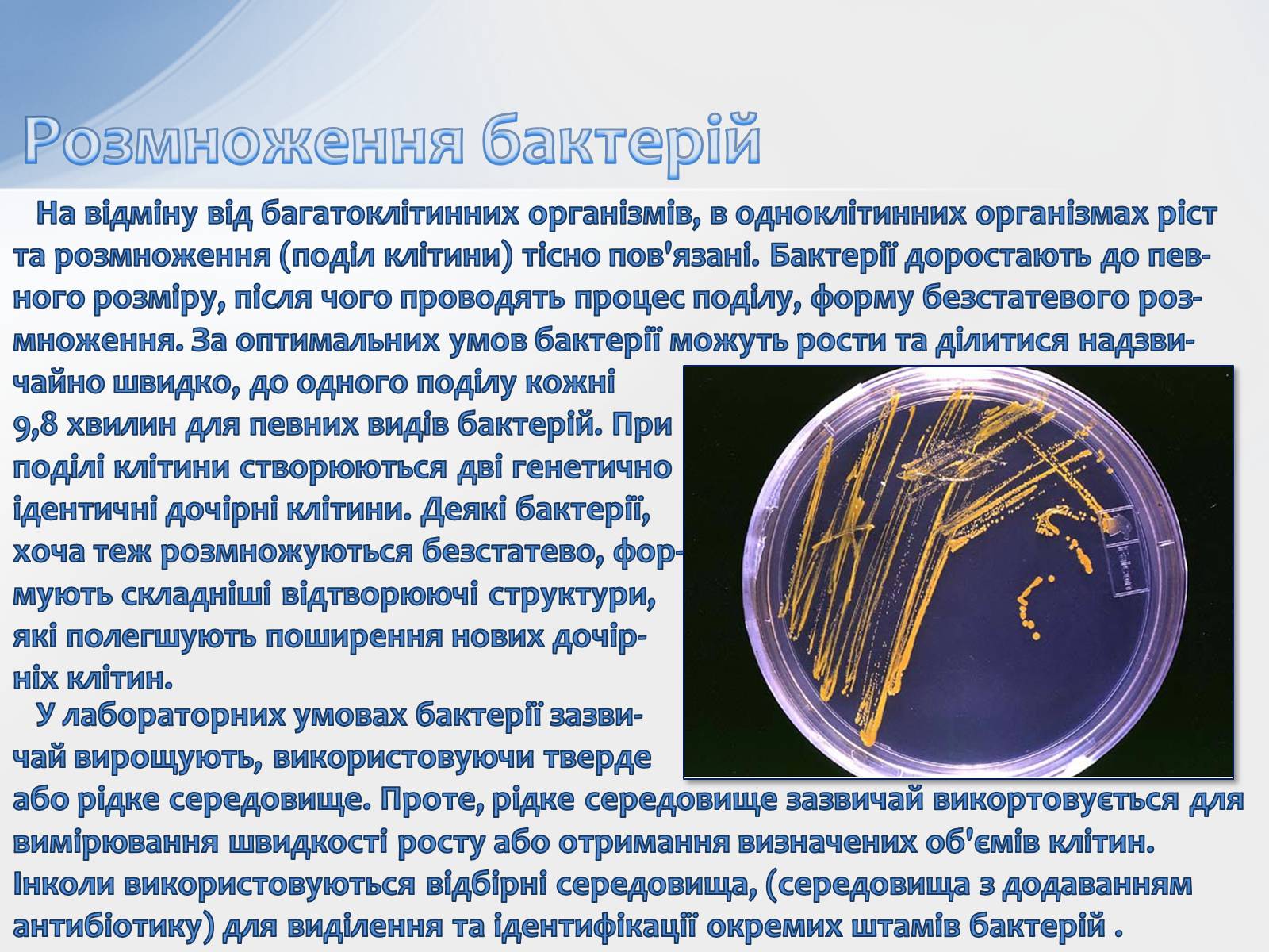 Презентація на тему «Бактерії» (варіант 2) - Слайд #10 Презентація на тему «Бактерії» (варіант 2) - Слайд #10
