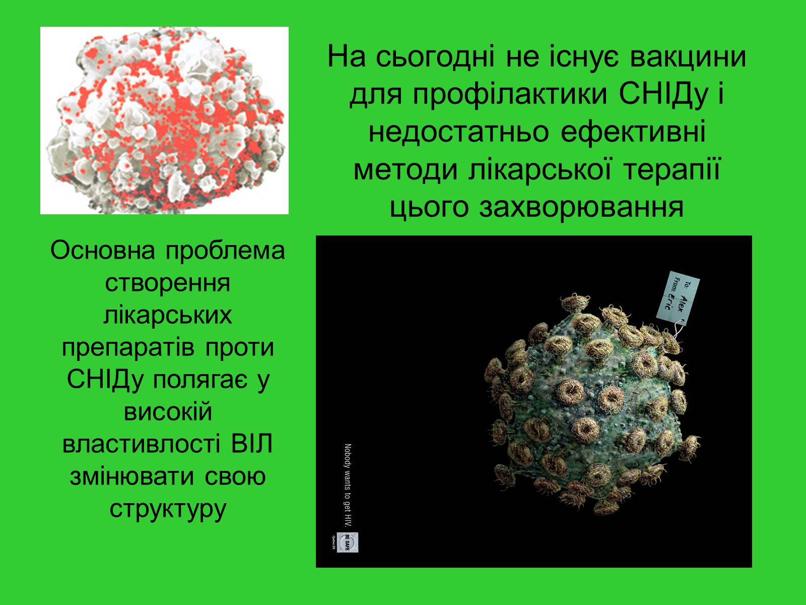 Презентація на тему «ВІЛ. СНІД. інфекції ІПСШ: шляхи передачі і методи захисту» (варіант 6) - Слайд #6 Презентація на тему «ВІЛ. СНІД. інфекції ІПСШ: шляхи передачі і методи захисту» (варіант 6) - Слайд #6