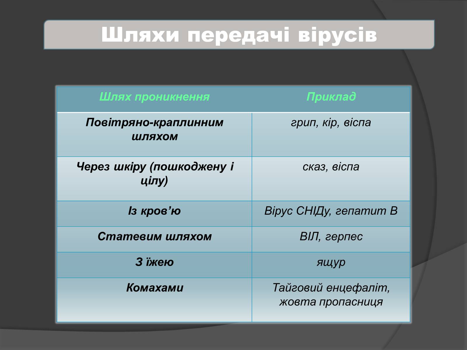Презентація на тему «Віруси» (варіант 4) - Слайд #24 Презентація на тему «Віруси» (варіант 4) - Слайд #24