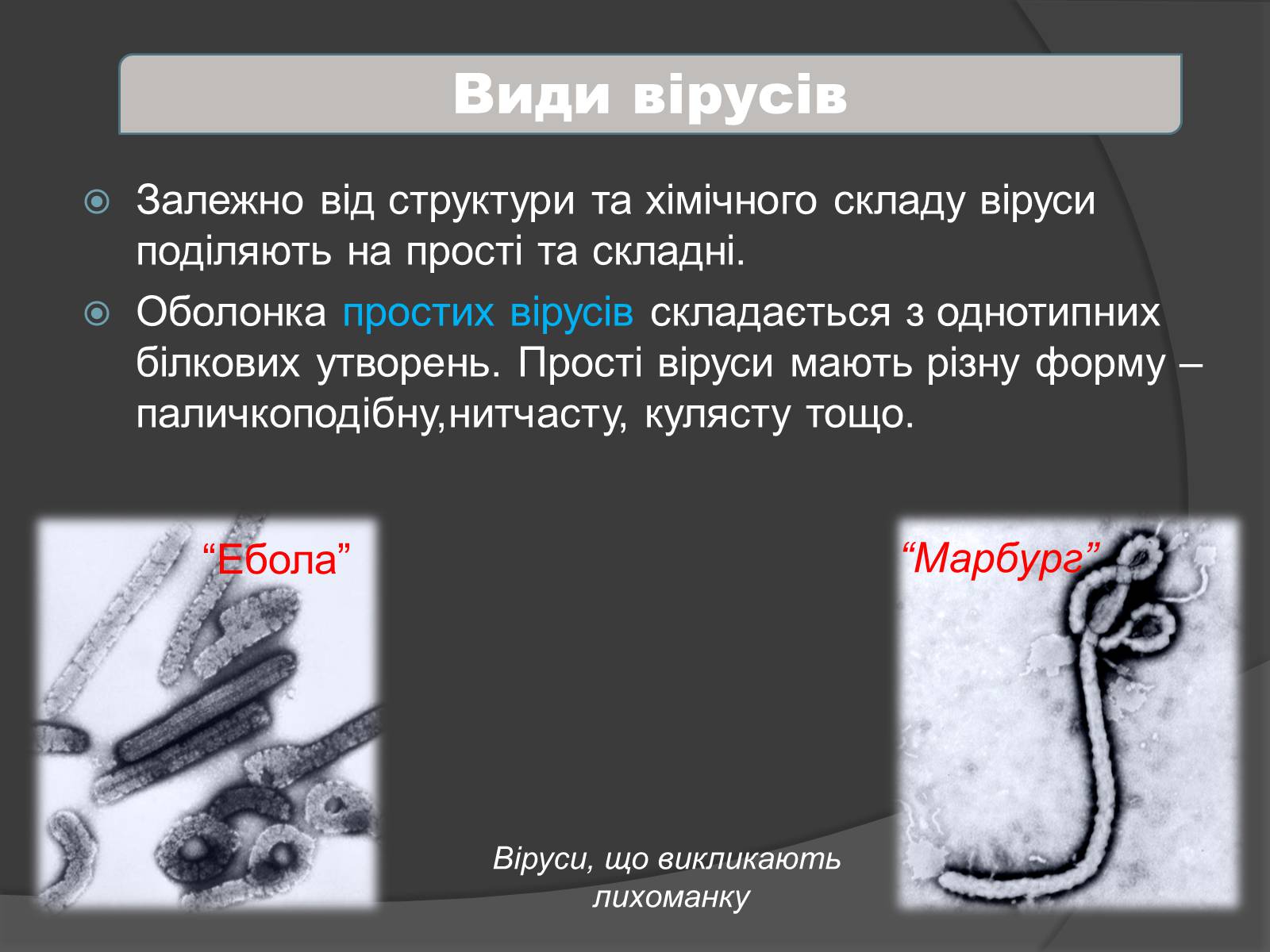 Презентація на тему «Віруси» (варіант 4) - Слайд #8 Презентація на тему «Віруси» (варіант 4) - Слайд #8