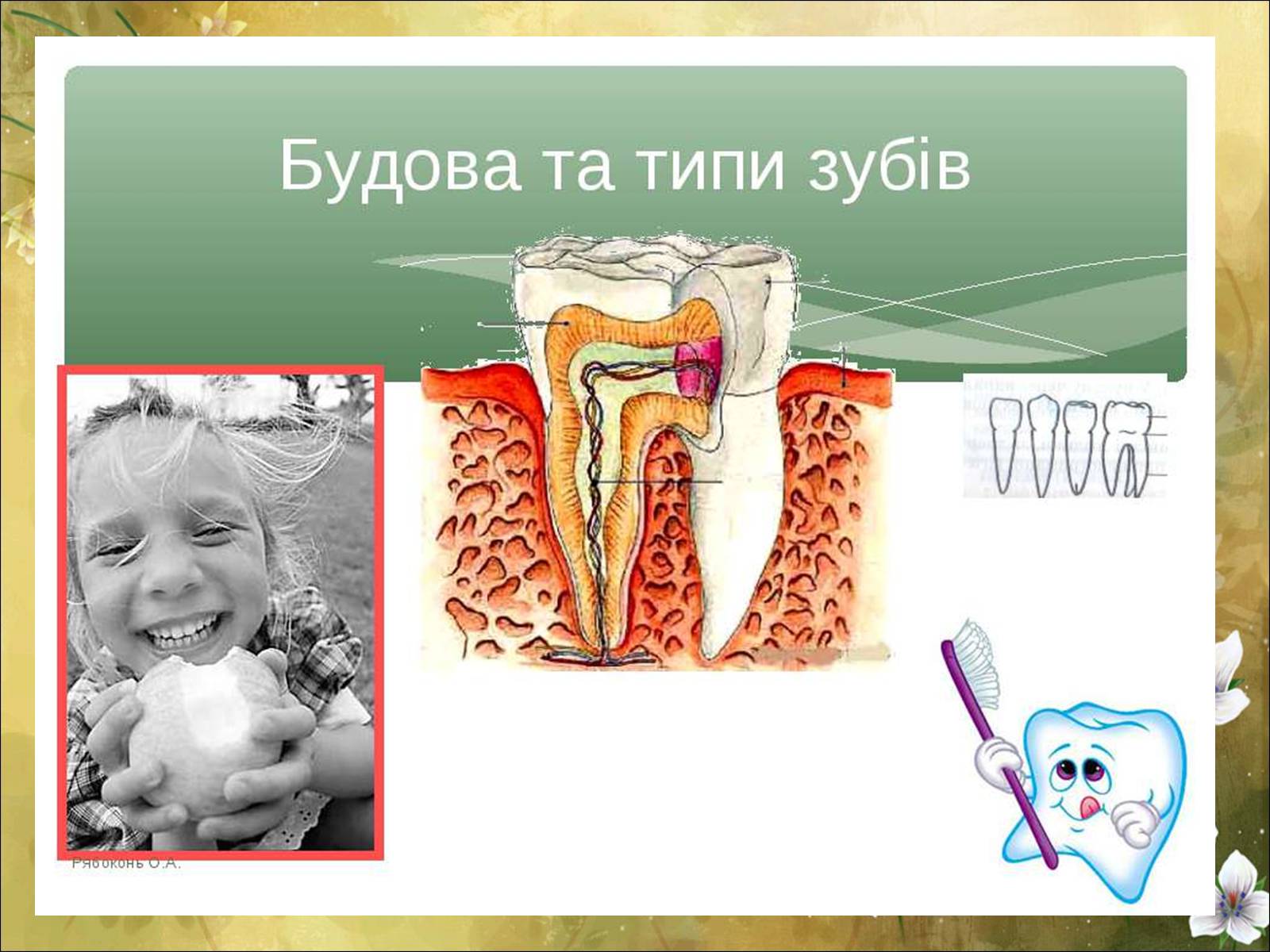 Презентація на тему «Основні безпеки харчування» - Слайд #30 Презентація на тему «Основні безпеки харчування» - Слайд #30