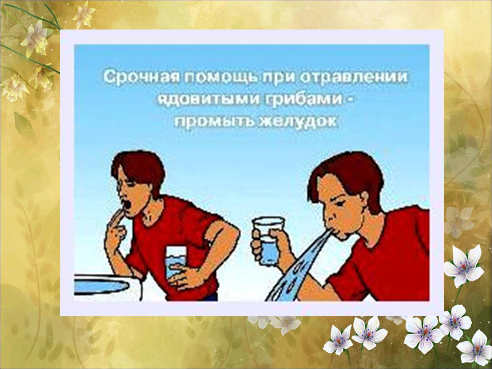 Презентація на тему «Основні безпеки харчування» - Слайд #42 Презентація на тему «Основні безпеки харчування» - Слайд #42