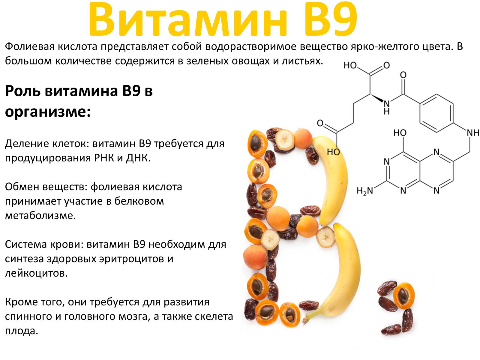 Презентація на тему «Витаміни» (варіант 2) - Слайд #24 Презентація на тему «Витаміни» (варіант 2) - Слайд #24