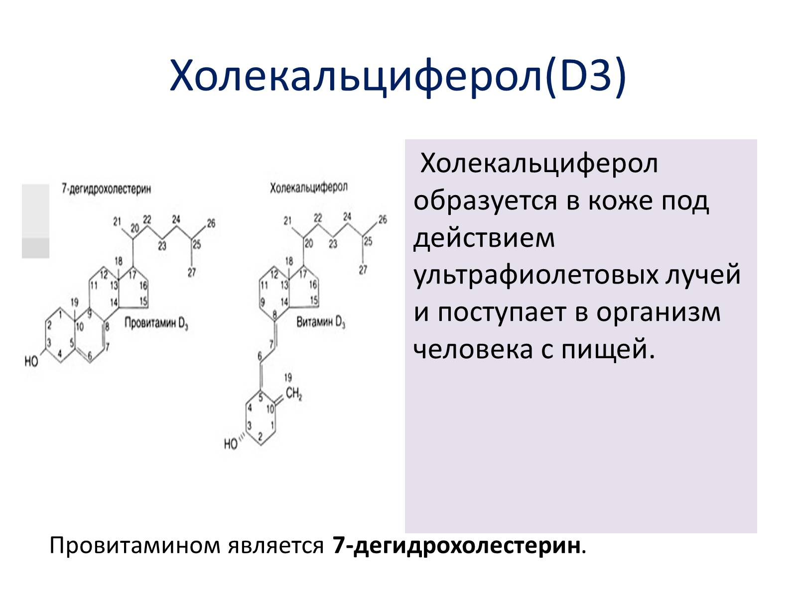 Презентація на тему «Витаміни» (варіант 2) - Слайд #39 Презентація на тему «Витаміни» (варіант 2) - Слайд #39