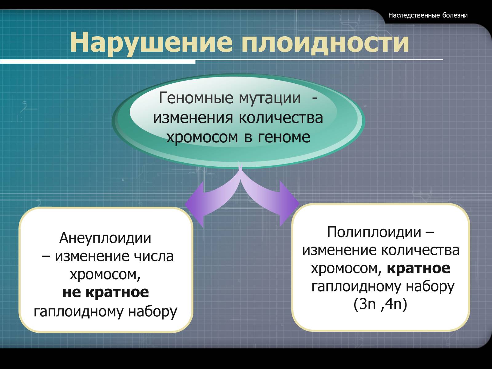 Презентація на тему «Наследственные болезни» - Слайд #17