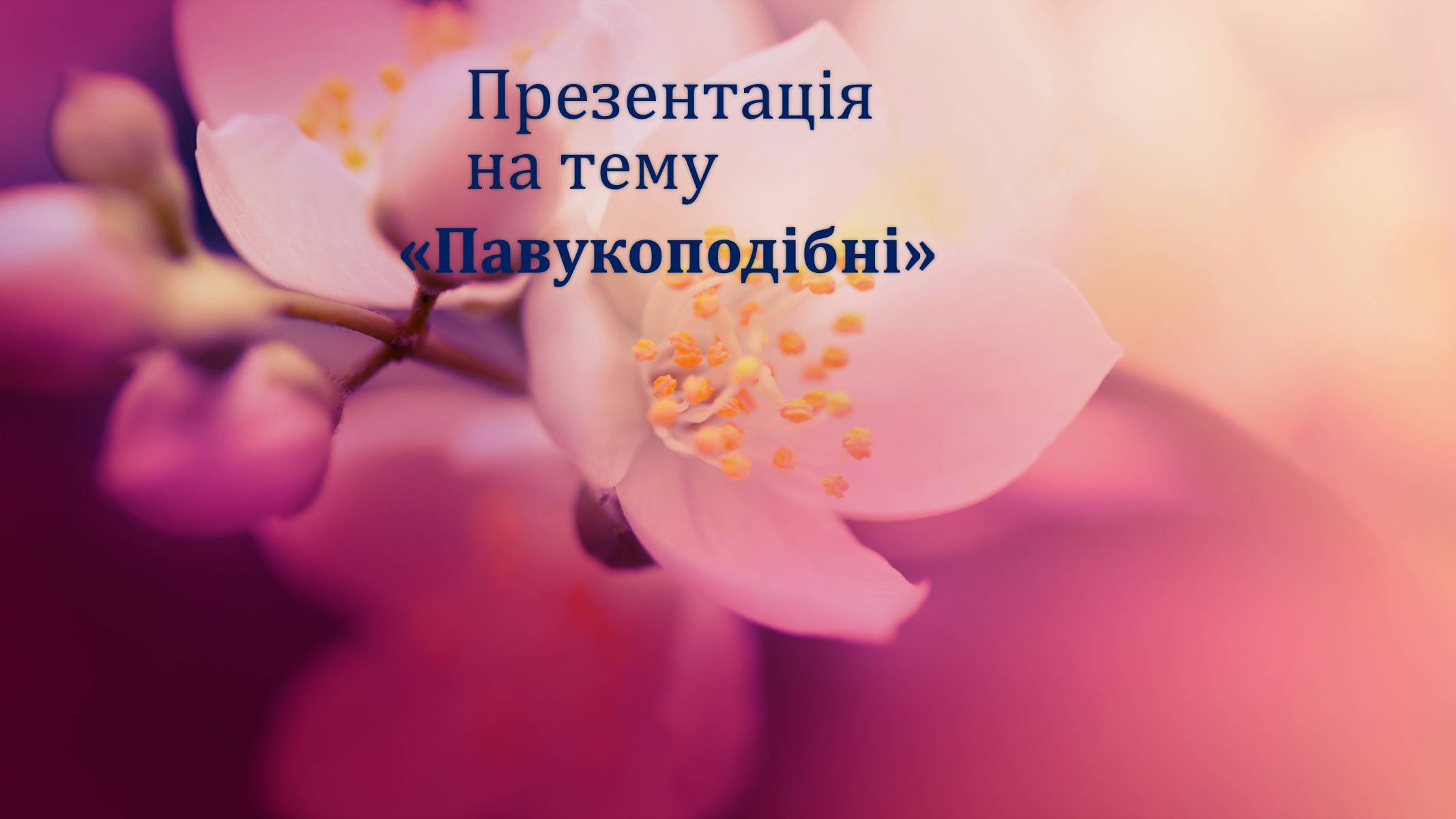 Презентація на тему «Павукоподібні» (варіант 2) - Слайд #1 Презентація на тему «Павукоподібні» (варіант 2) - Слайд #1