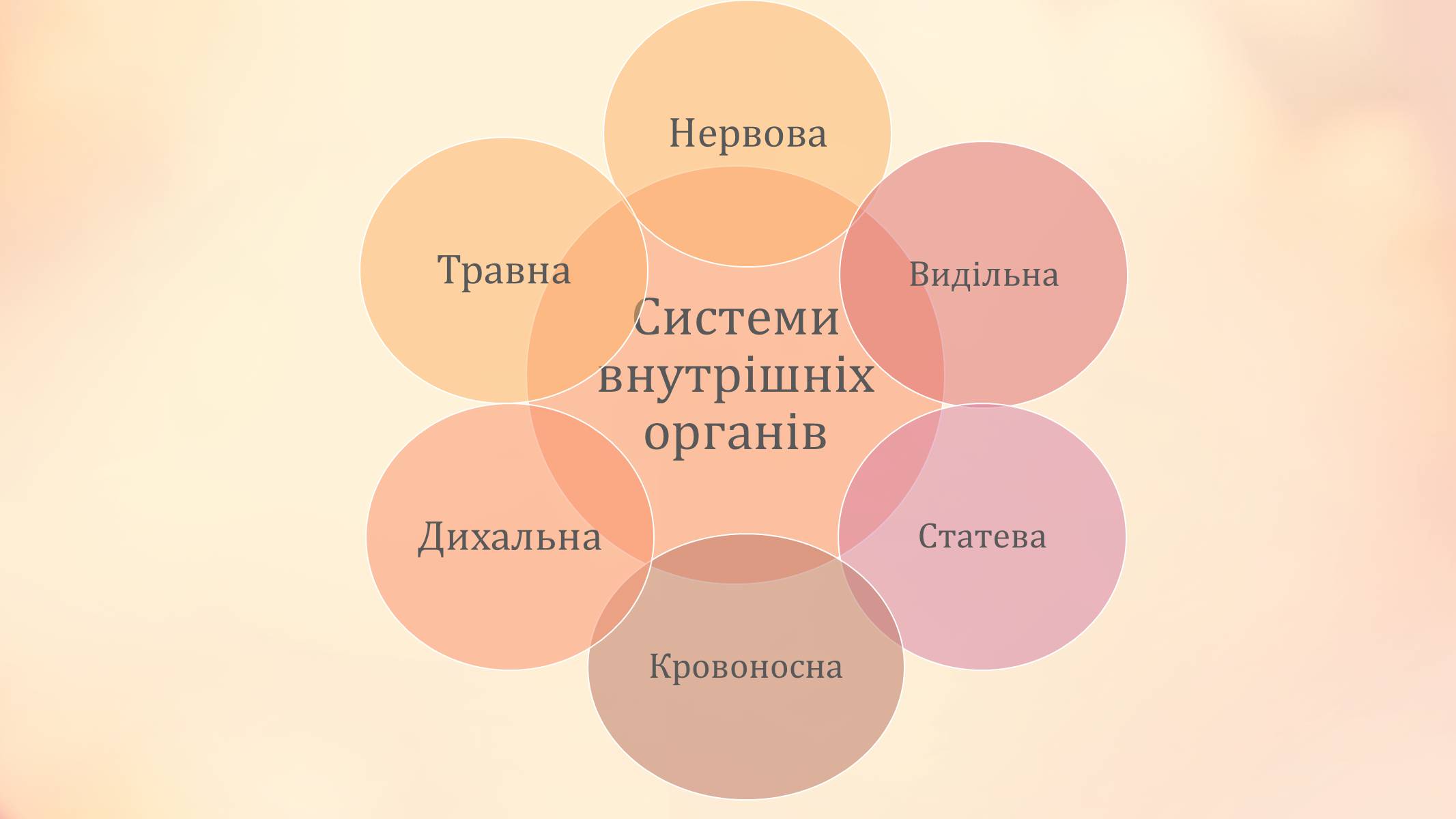 Презентація на тему «Павукоподібні» (варіант 2) - Слайд #6 Презентація на тему «Павукоподібні» (варіант 2) - Слайд #6