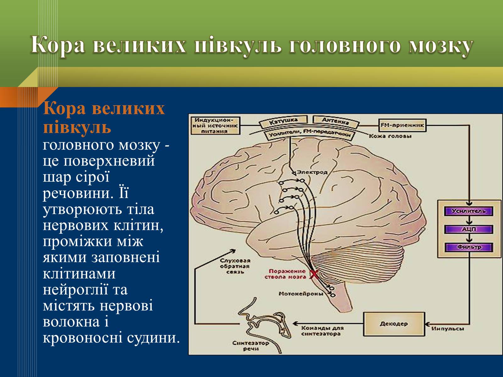 Презентація на тему «Мислення та свідомість людини» - Слайд #2 Презентація на тему «Мислення та свідомість людини» - Слайд #2