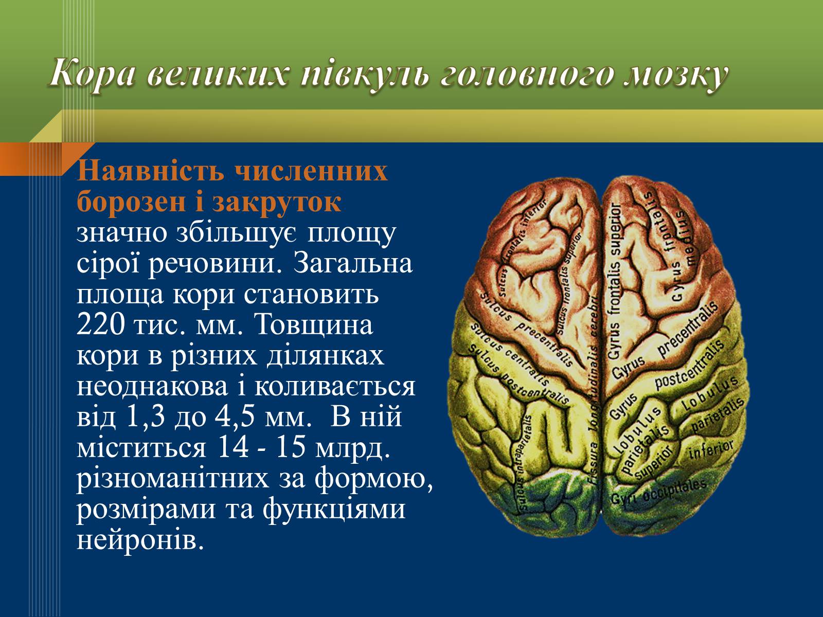 Презентація на тему «Мислення та свідомість людини» - Слайд #3 Презентація на тему «Мислення та свідомість людини» - Слайд #3