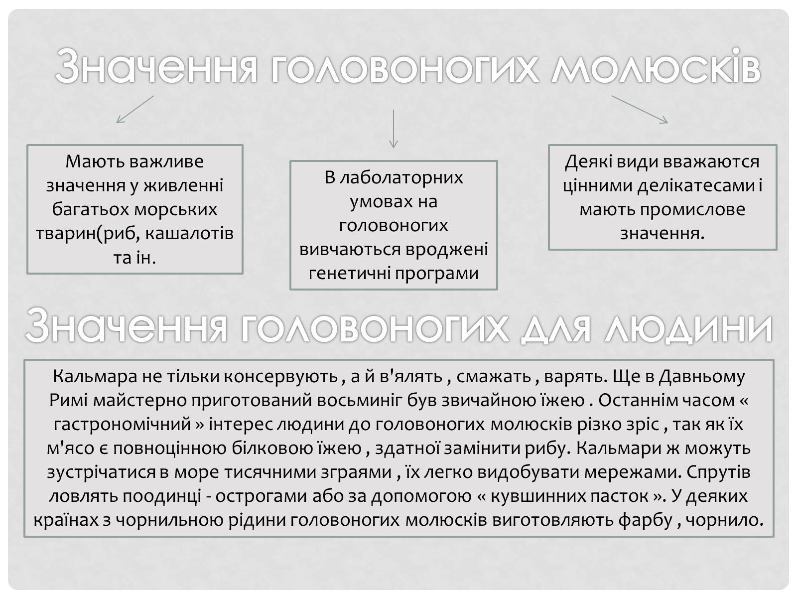 Презентація на тему «Головоногi молюски» - Слайд #11 Презентація на тему «Головоногi молюски» - Слайд #11