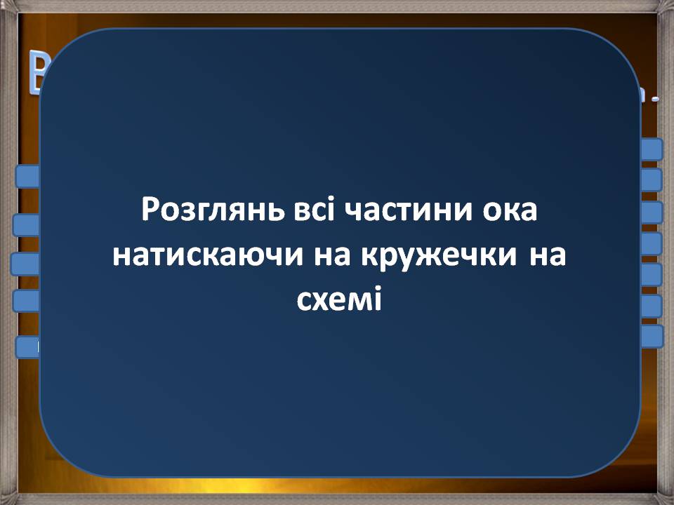 Презентація на тему «Аналізатори» - Слайд #13 Презентація на тему «Аналізатори» - Слайд #13