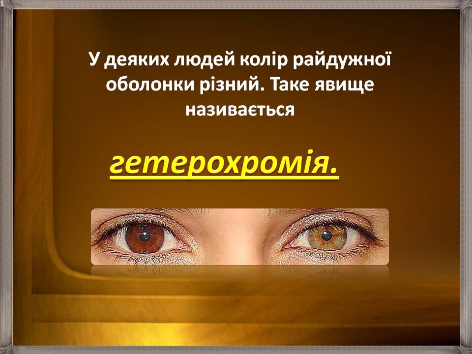 Презентація на тему «Аналізатори» - Слайд #19 Презентація на тему «Аналізатори» - Слайд #19