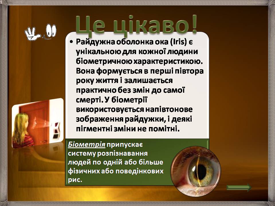 Презентація на тему «Аналізатори» - Слайд #22 Презентація на тему «Аналізатори» - Слайд #22
