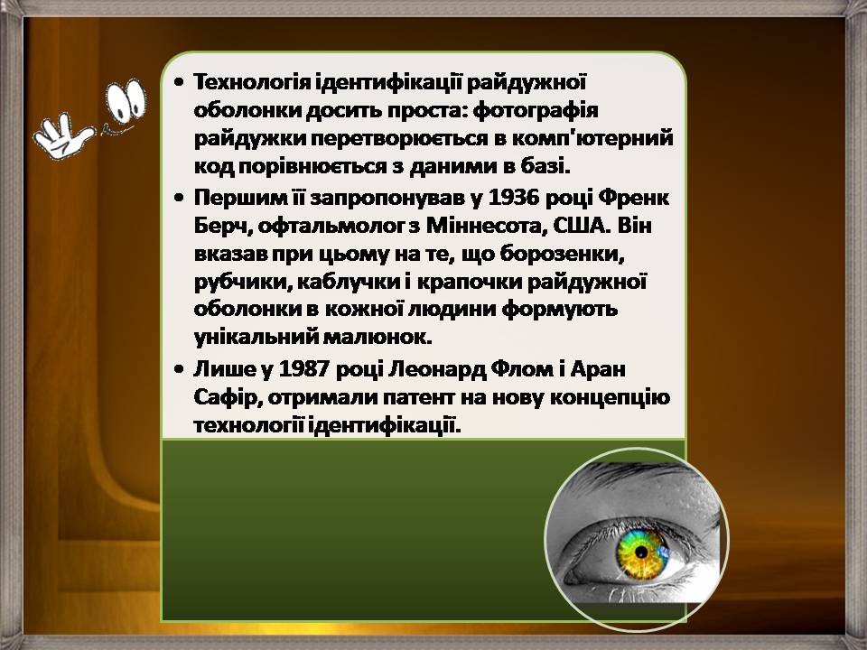 Презентація на тему «Аналізатори» - Слайд #23 Презентація на тему «Аналізатори» - Слайд #23
