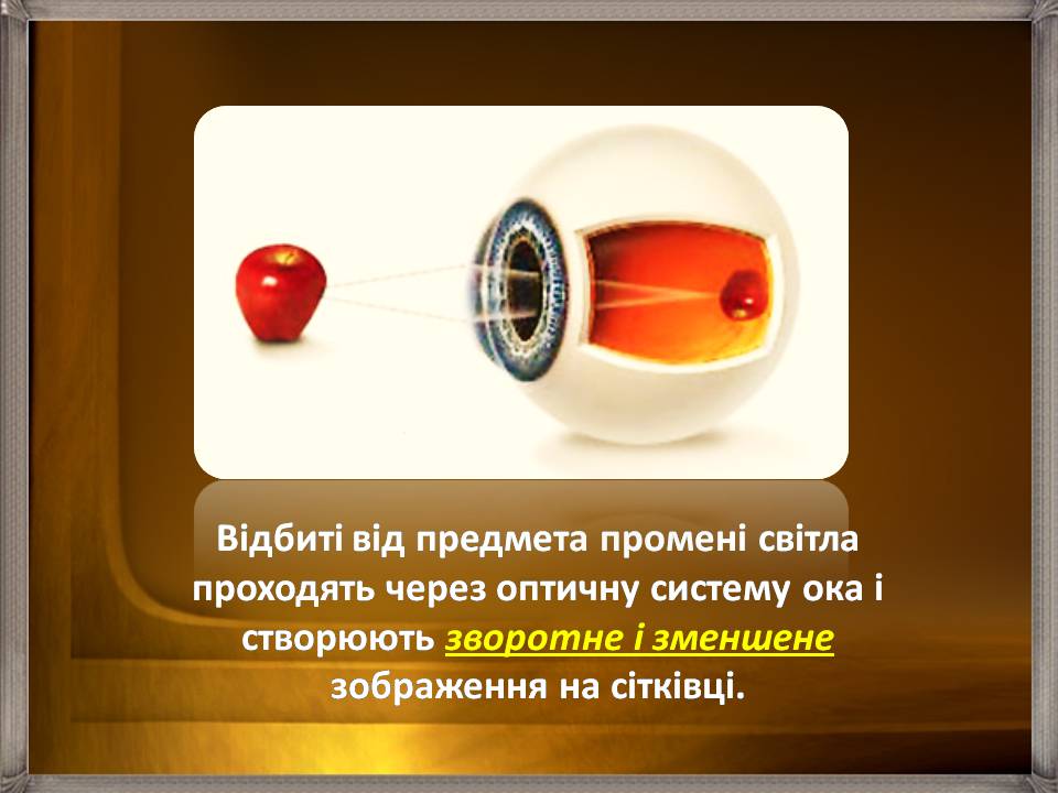 Презентація на тему «Аналізатори» - Слайд #37 Презентація на тему «Аналізатори» - Слайд #37