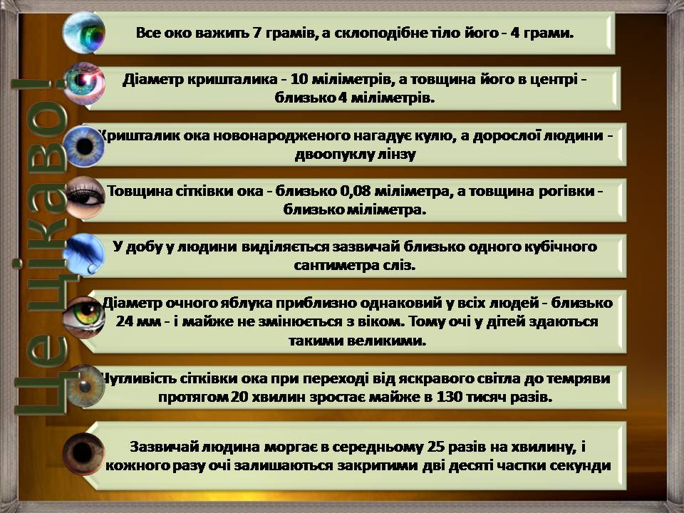 Презентація на тему «Аналізатори» - Слайд #45 Презентація на тему «Аналізатори» - Слайд #45