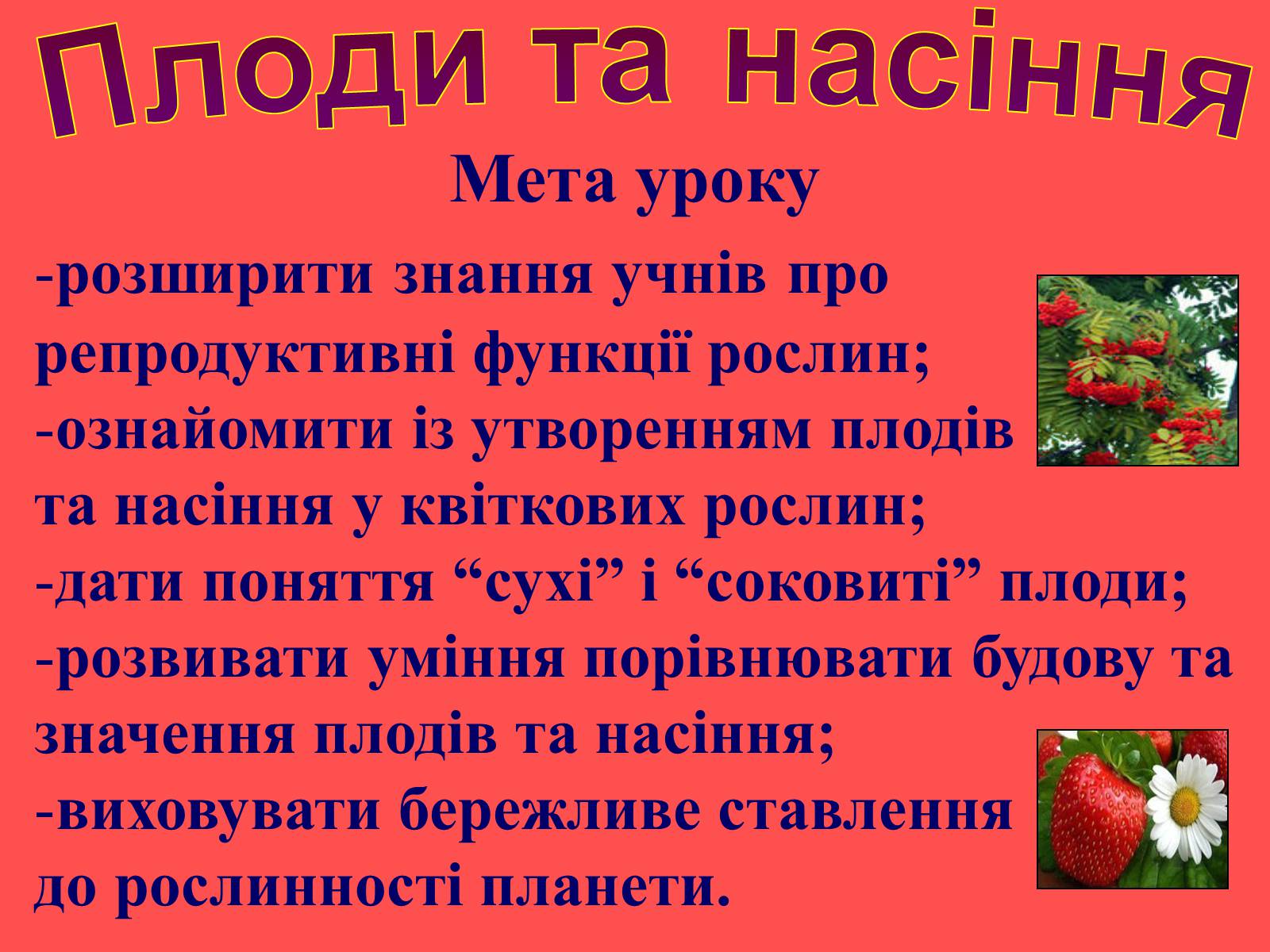 Презентація на тему «Плоди та насіння» - Слайд #3 Презентація на тему «Плоди та насіння» - Слайд #3