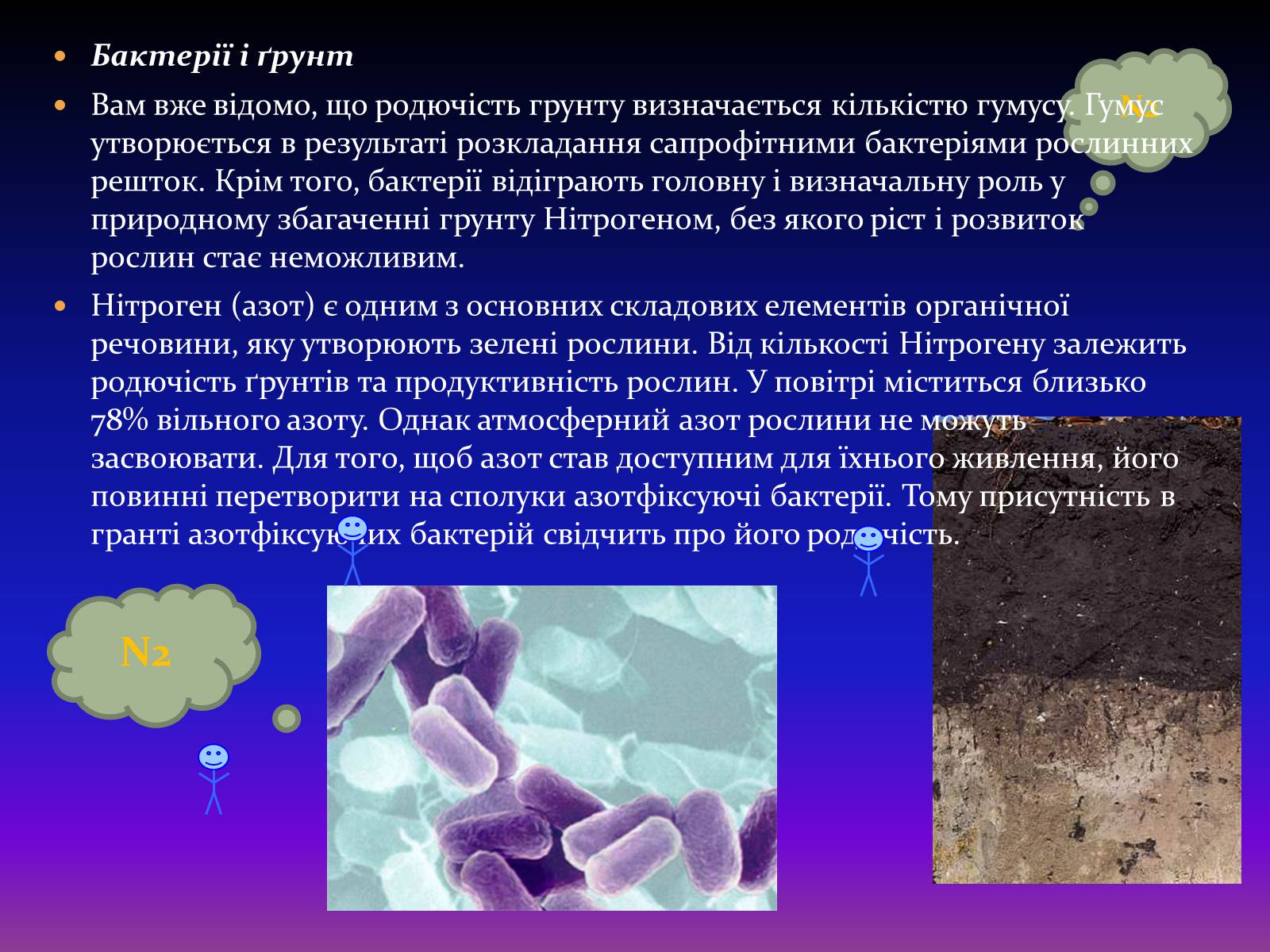 Презентація на тему «Корисні бактерії» (варіант 2) - Слайд #6 Презентація на тему «Корисні бактерії» (варіант 2) - Слайд #6