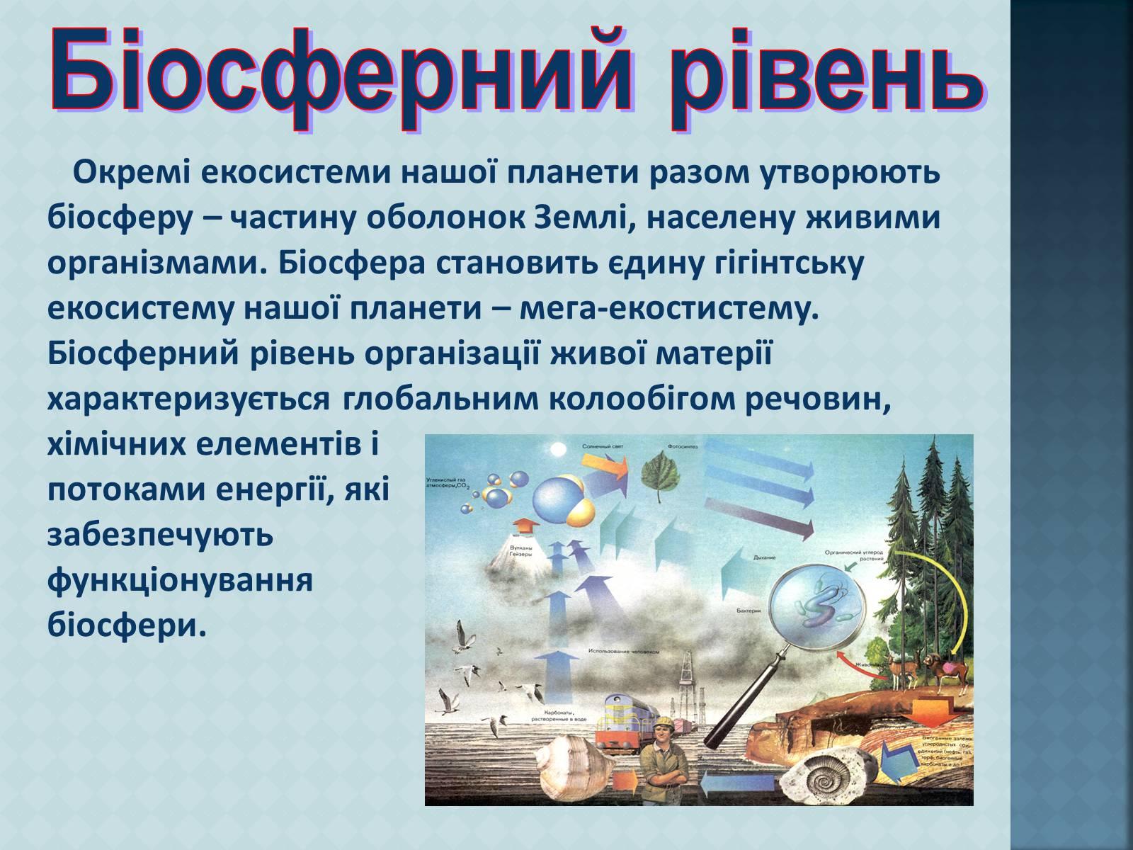 Презентація на тему «Рівні організації живої матерії» (варіант 1) - Слайд #15 Презентація на тему «Рівні організації живої матерії» (варіант 1) - Слайд #15