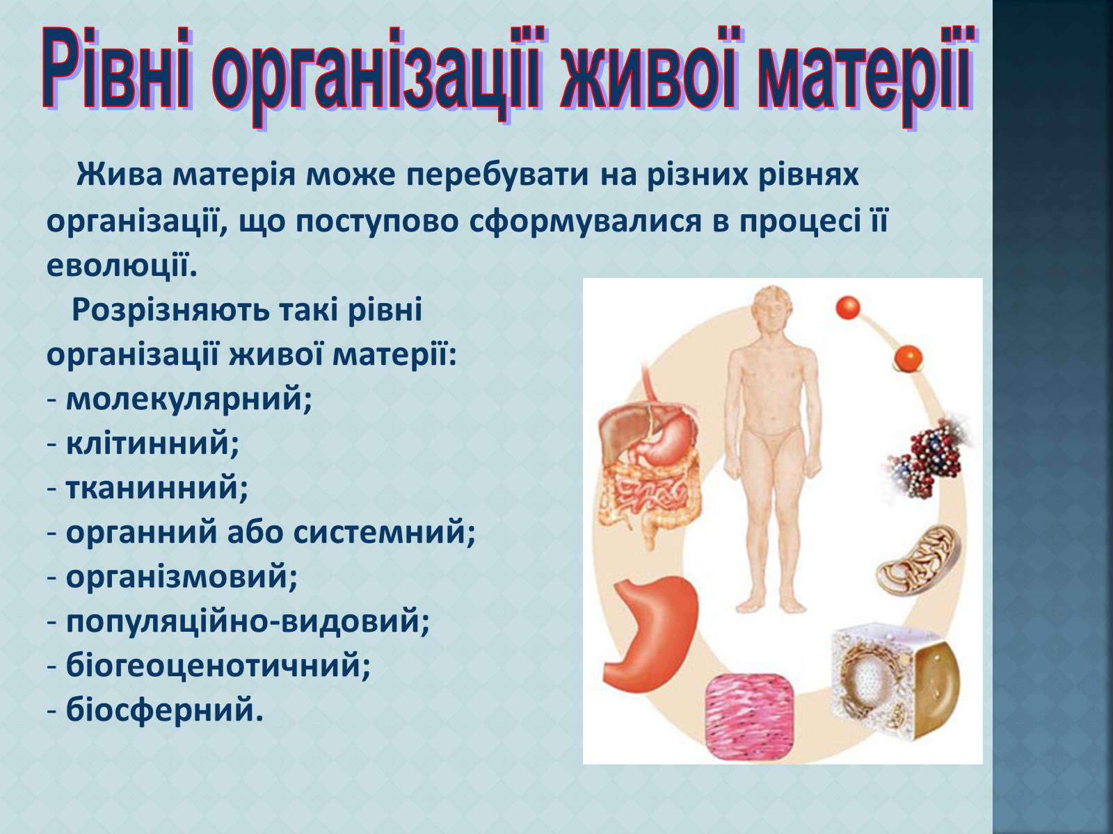 Презентація на тему «Рівні організації живої матерії» (варіант 1) - Слайд #3 Презентація на тему «Рівні організації живої матерії» (варіант 1) - Слайд #3