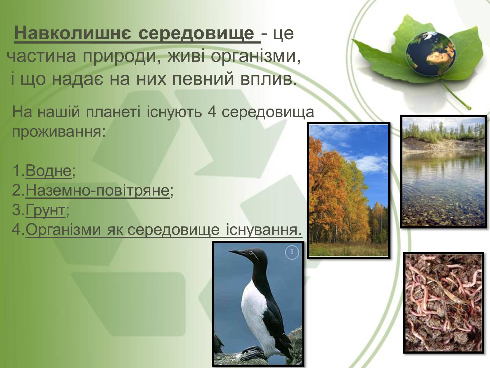 Презентація на тему «Середовище проживання живих організмів» - Слайд #2 Презентація на тему «Середовище проживання живих організмів» - Слайд #2