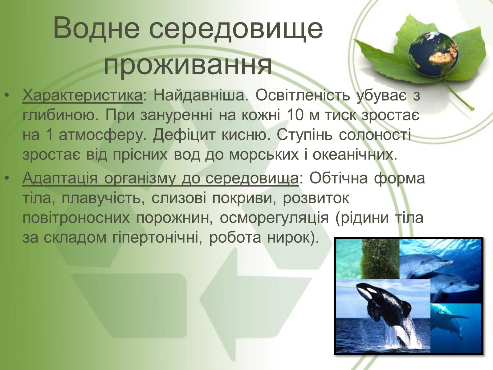 Презентація на тему «Середовище проживання живих організмів» - Слайд #3 Презентація на тему «Середовище проживання живих організмів» - Слайд #3
