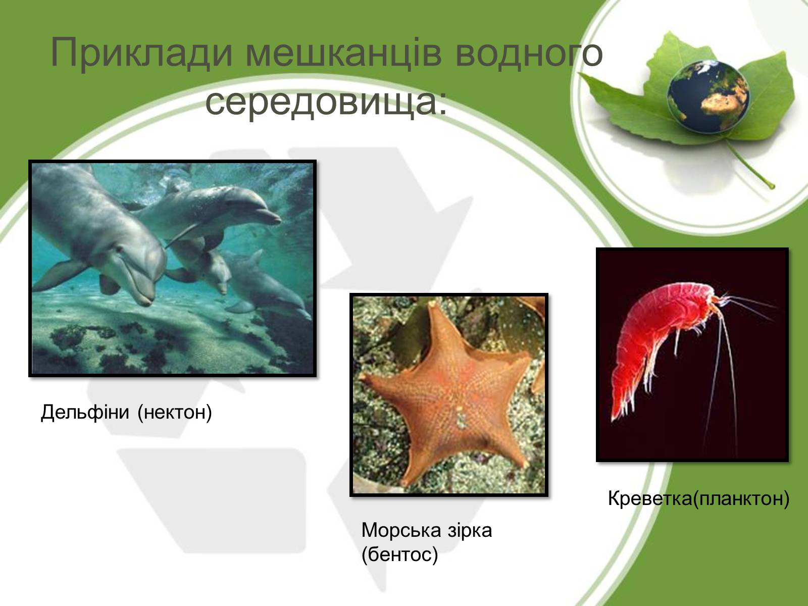 Презентація на тему «Середовище проживання живих організмів» - Слайд #5 Презентація на тему «Середовище проживання живих організмів» - Слайд #5