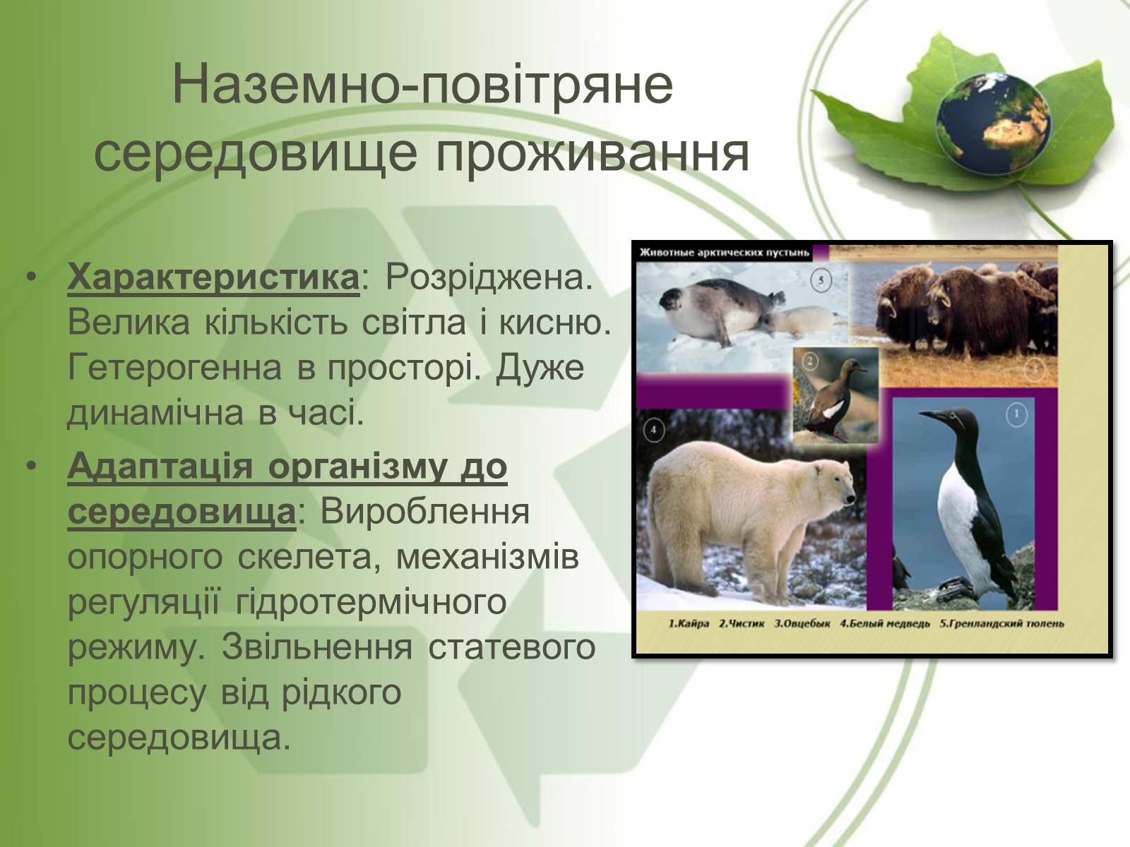 Презентація на тему «Середовище проживання живих організмів» - Слайд #6 Презентація на тему «Середовище проживання живих організмів» - Слайд #6