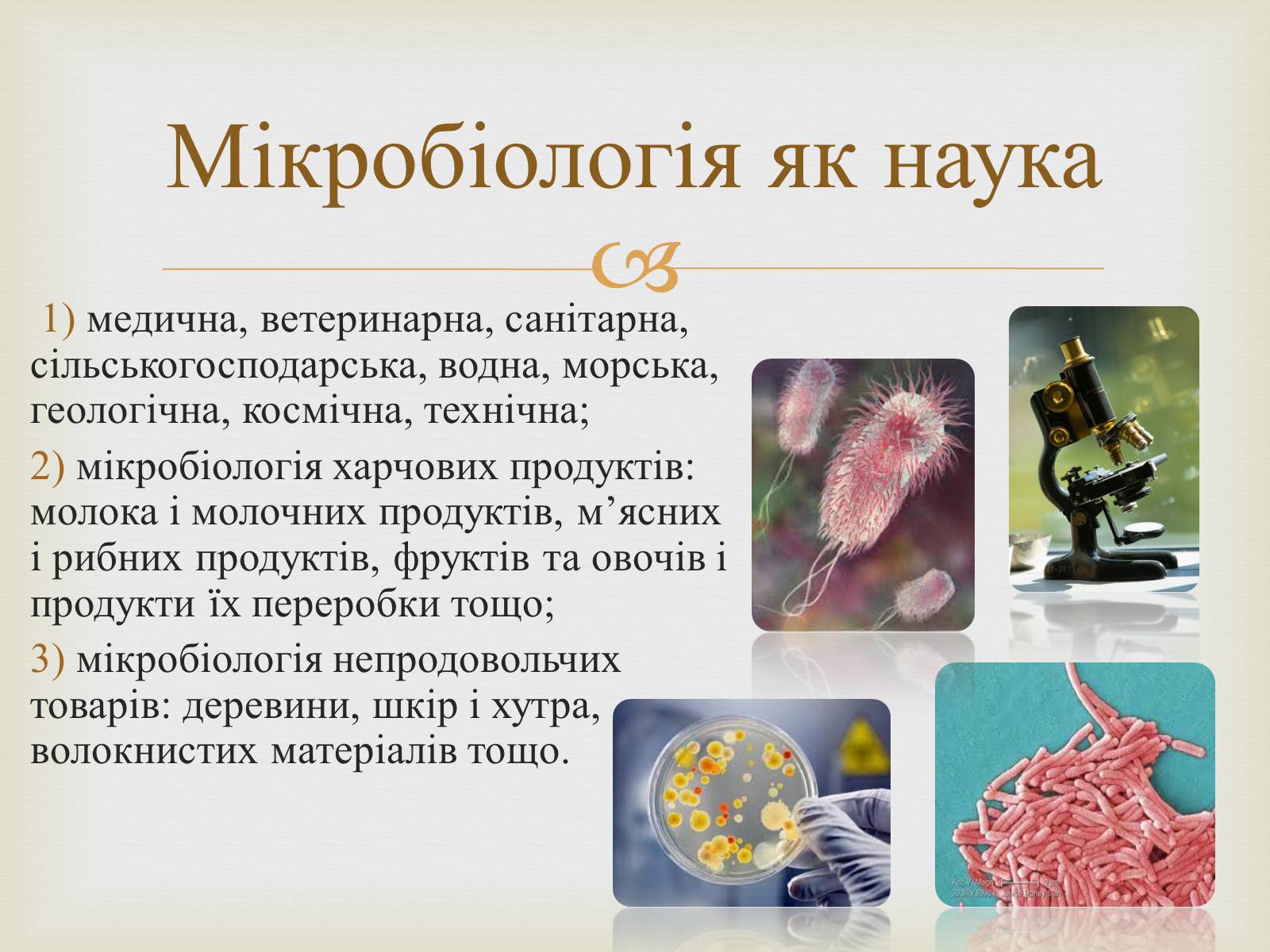 Презентація на тему «Мікробіологічна промисловість» - Слайд #3 Презентація на тему «Мікробіологічна промисловість» - Слайд #3
