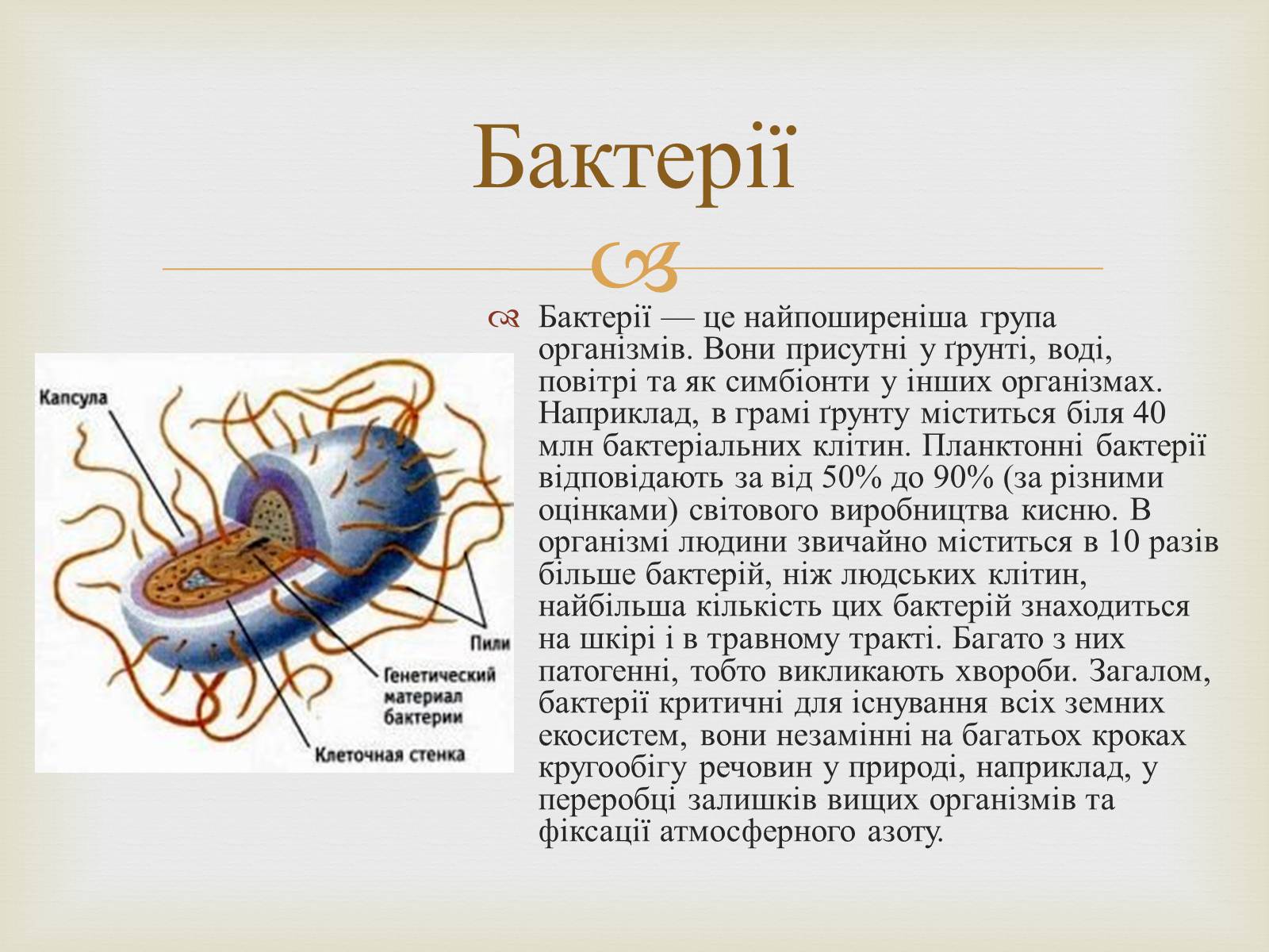 Презентація на тему «Мікробіологічна промисловість» - Слайд #7 Презентація на тему «Мікробіологічна промисловість» - Слайд #7
