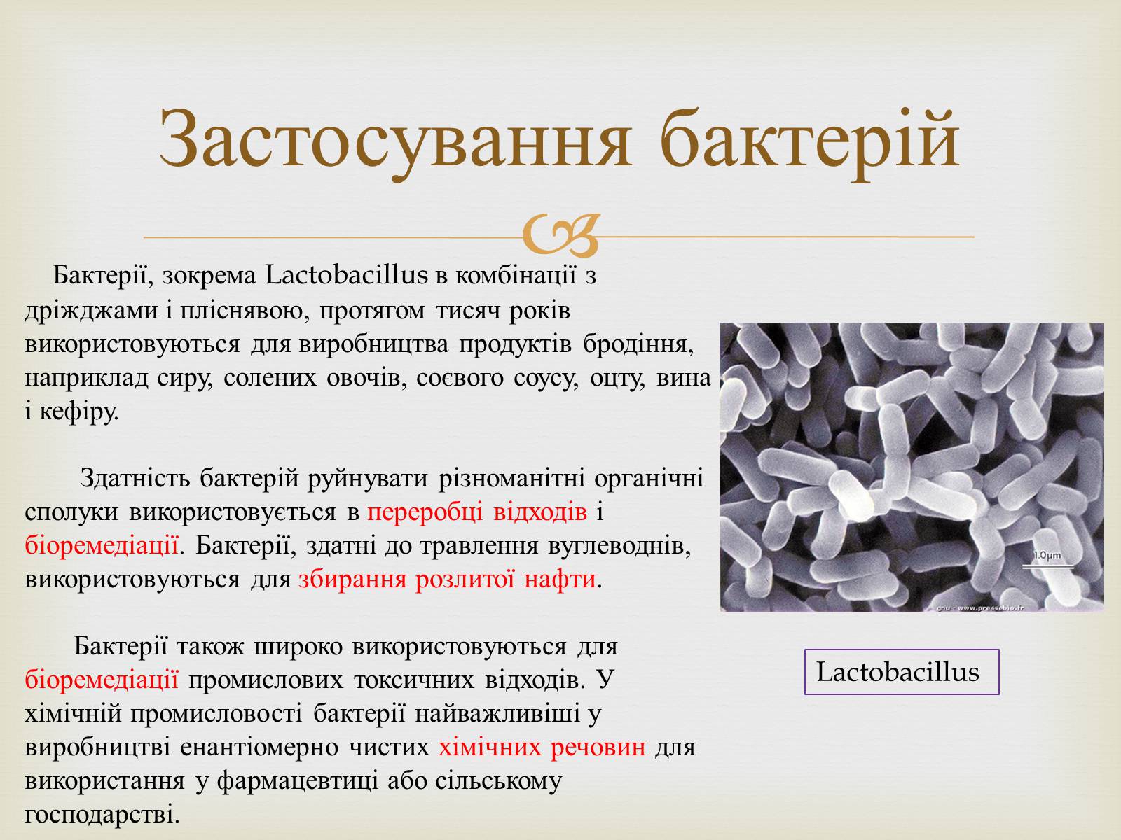 Презентація на тему «Мікробіологічна промисловість» - Слайд #8 Презентація на тему «Мікробіологічна промисловість» - Слайд #8