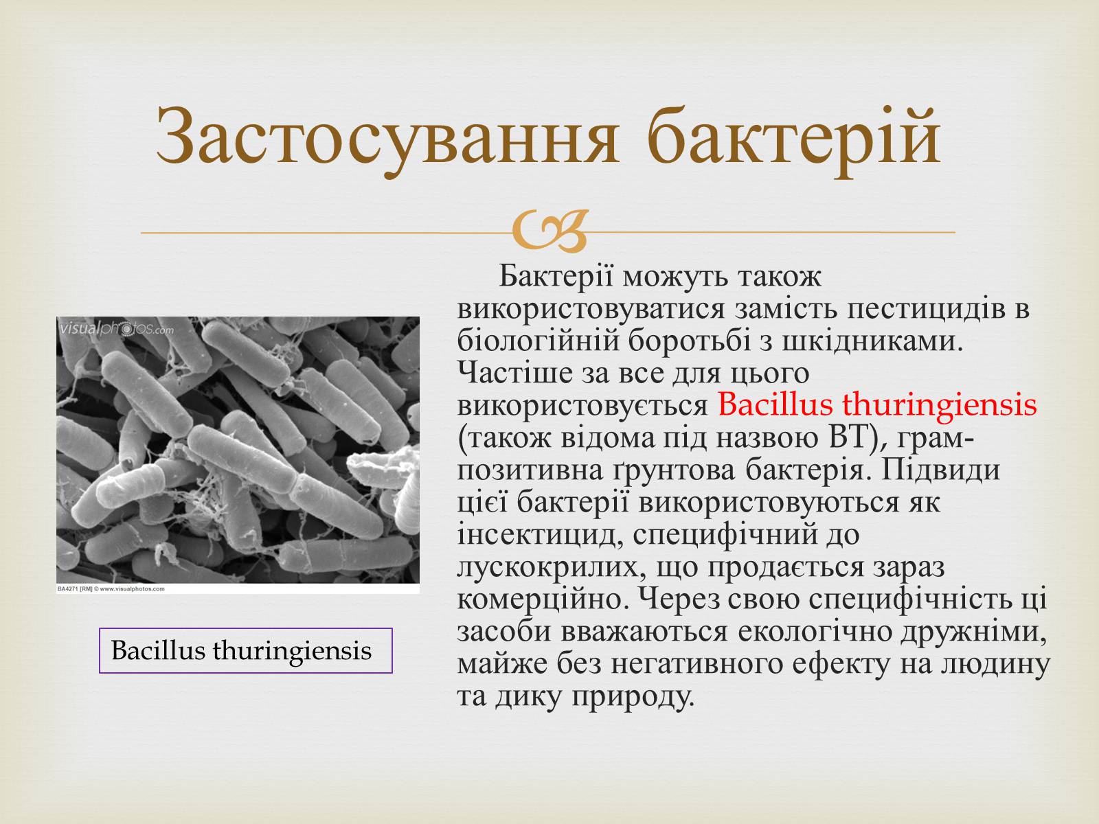 Презентація на тему «Мікробіологічна промисловість» - Слайд #9 Презентація на тему «Мікробіологічна промисловість» - Слайд #9