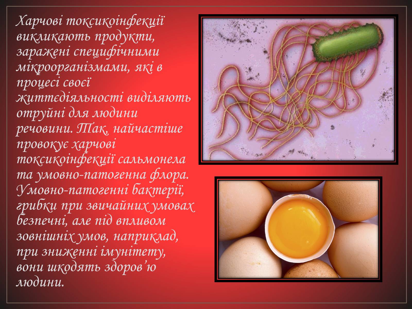 Презентація на тему «Перша допомога при отруєннях» (варіант 2) - Слайд #4 Презентація на тему «Перша допомога при отруєннях» (варіант 2) - Слайд #4