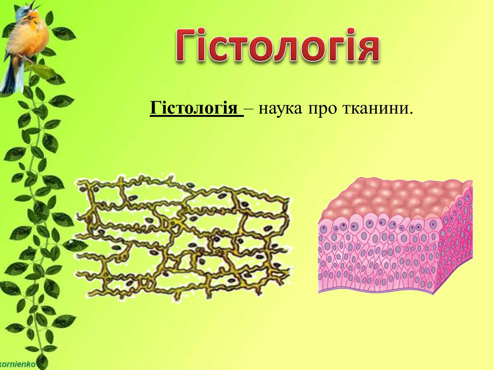 Презентація на тему «Біологічні науки» - Слайд #13 Презентація на тему «Біологічні науки» - Слайд #13