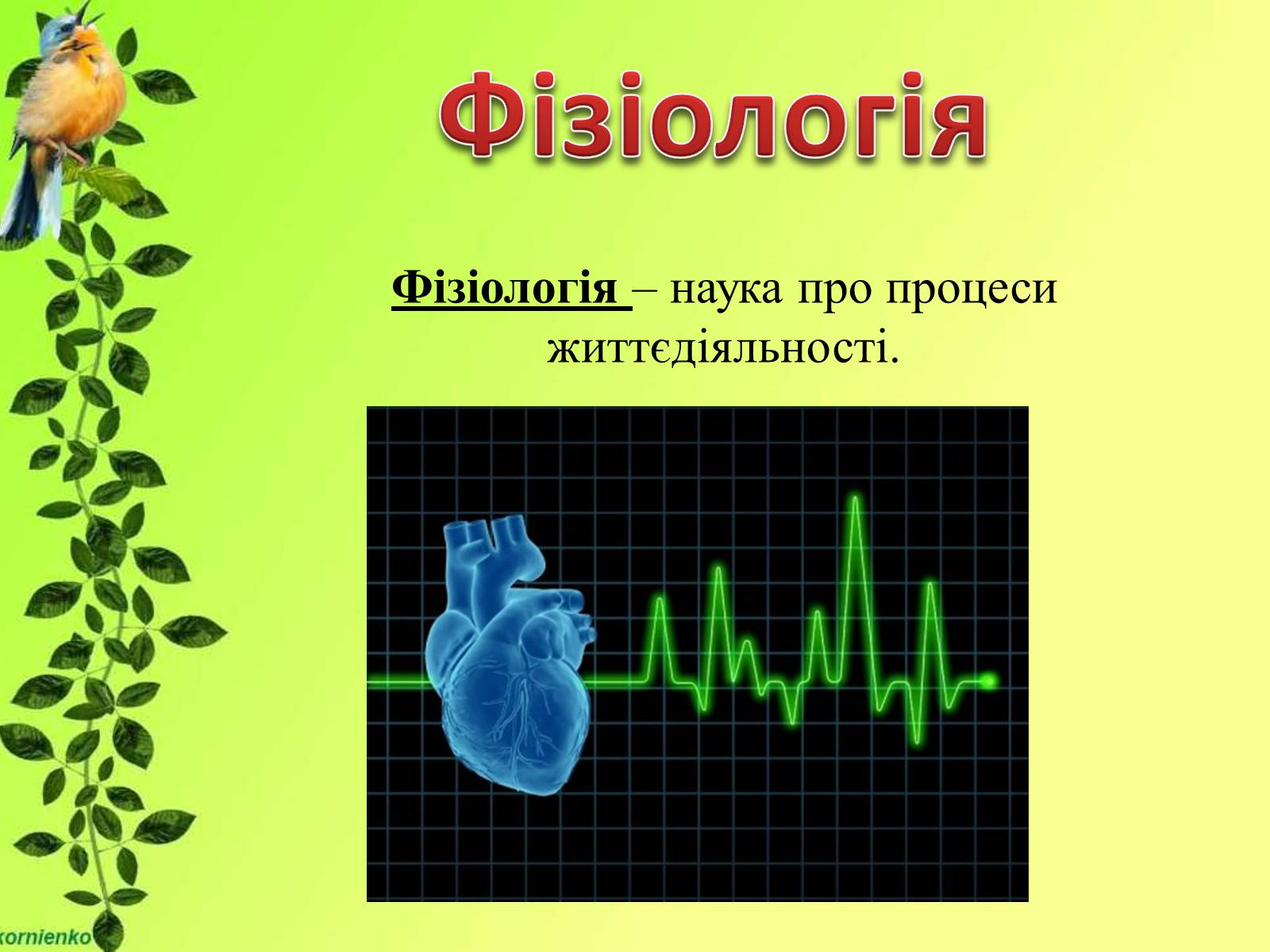 Презентація на тему «Біологічні науки» - Слайд #17 Презентація на тему «Біологічні науки» - Слайд #17