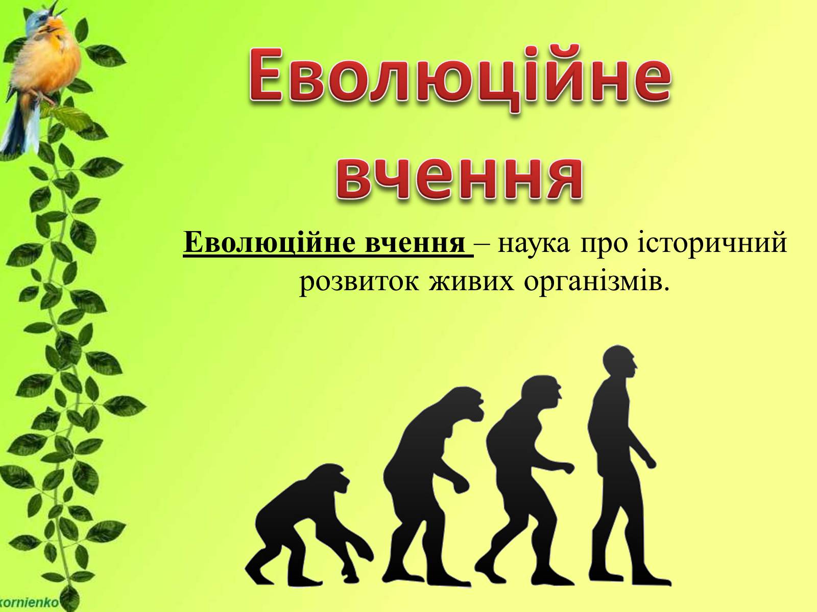 Презентація на тему «Біологічні науки» - Слайд #24 Презентація на тему «Біологічні науки» - Слайд #24