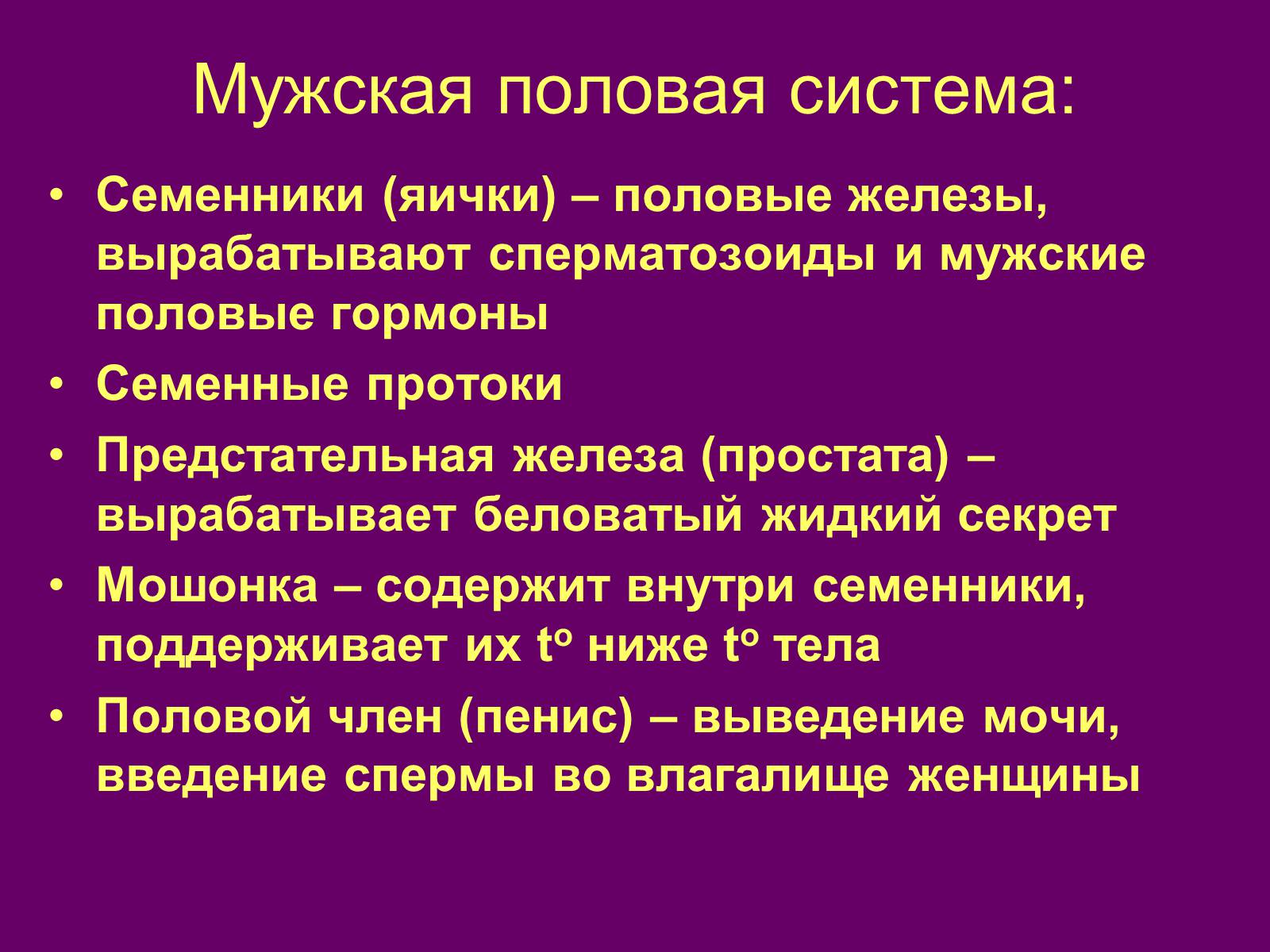 Презентація на тему «Половая система человека» (варіант 1) - Слайд #3 Презентація на тему «Половая система человека» (варіант 1) - Слайд #3