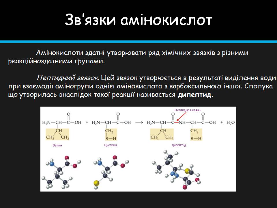 Презентація на тему «Амінокислоти» (варіант 4) - Слайд #17 Презентація на тему «Амінокислоти» (варіант 4) - Слайд #17