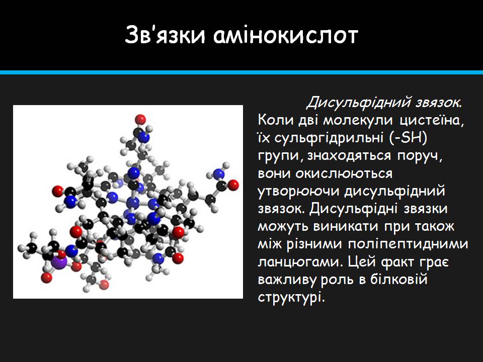 Презентація на тему «Амінокислоти» (варіант 4) - Слайд #19 Презентація на тему «Амінокислоти» (варіант 4) - Слайд #19
