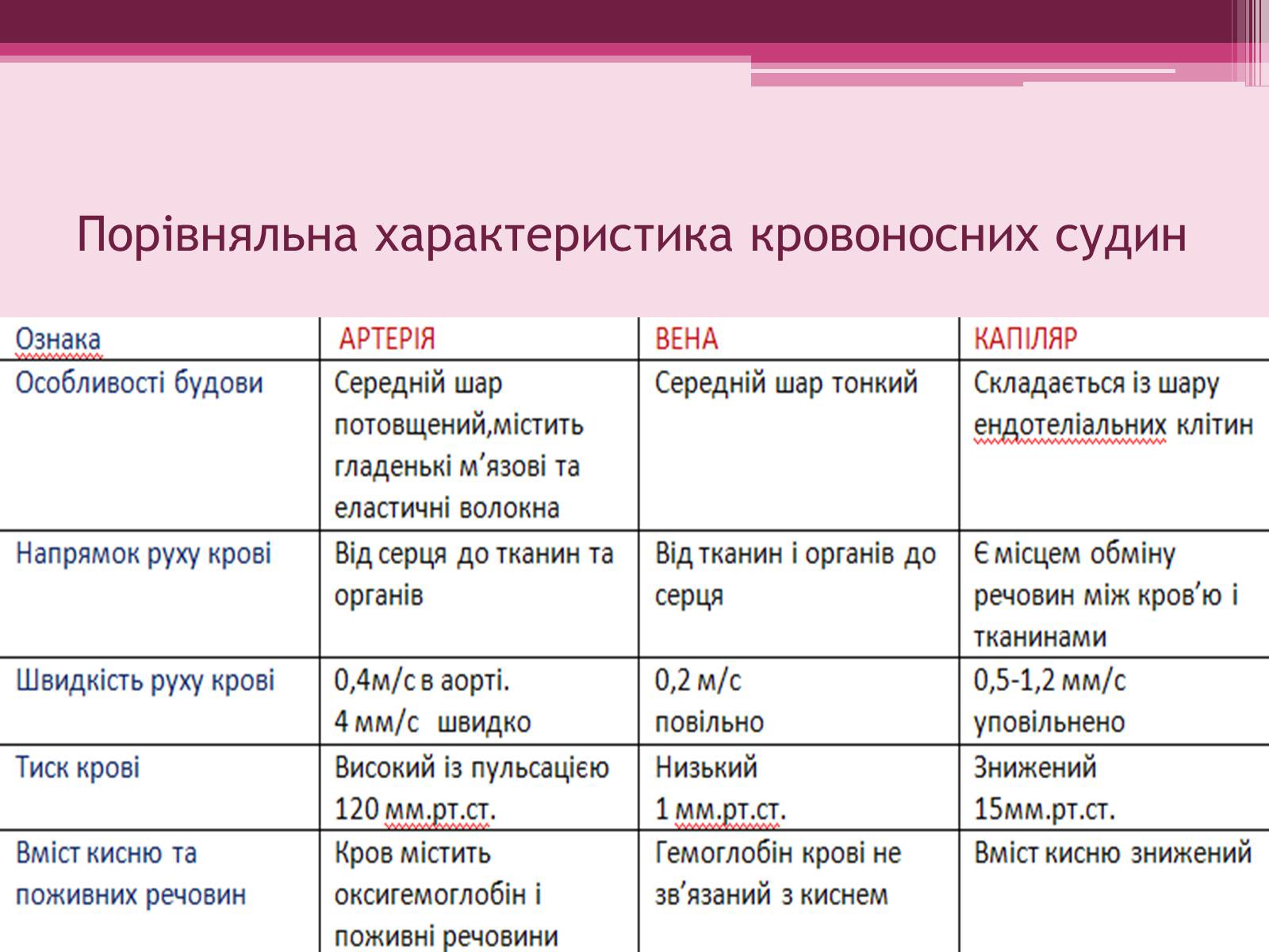 Презентація на тему «Серце» - Слайд #14 Презентація на тему «Серце» - Слайд #14