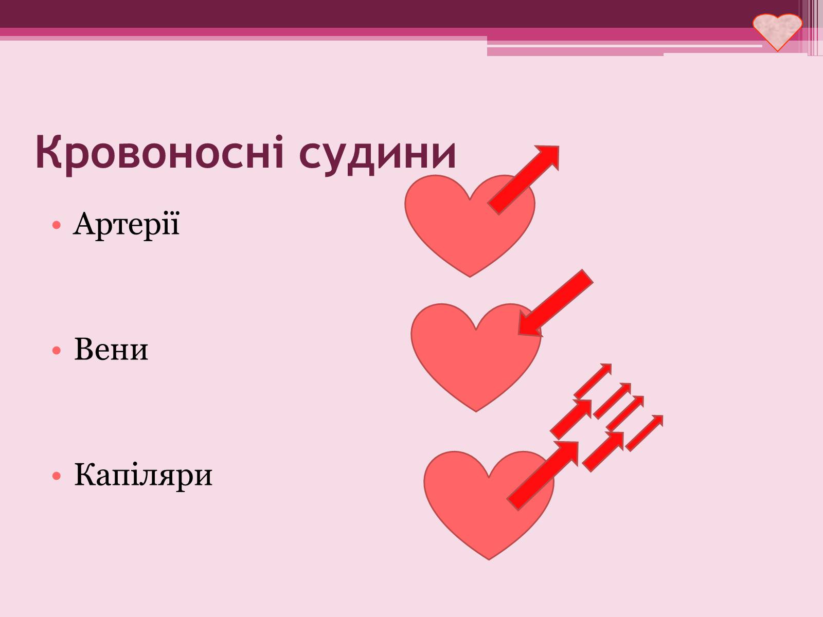 Презентація на тему «Серце» - Слайд #8 Презентація на тему «Серце» - Слайд #8
