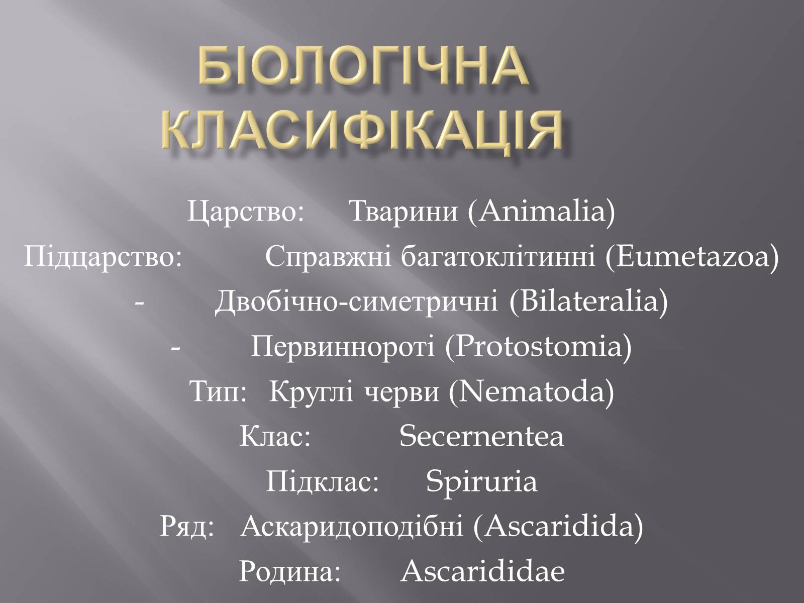 Презентація на тему «Аскариди» - Слайд #3 Презентація на тему «Аскариди» - Слайд #3